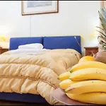 Camilla Luxury Apartment